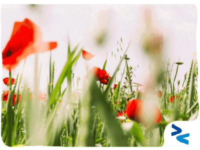 La pratica collaborativa non è per pochi copertina