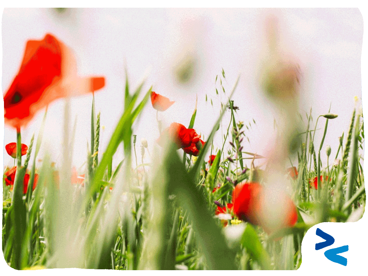 La pratica collaborativa non è per pochi copertina