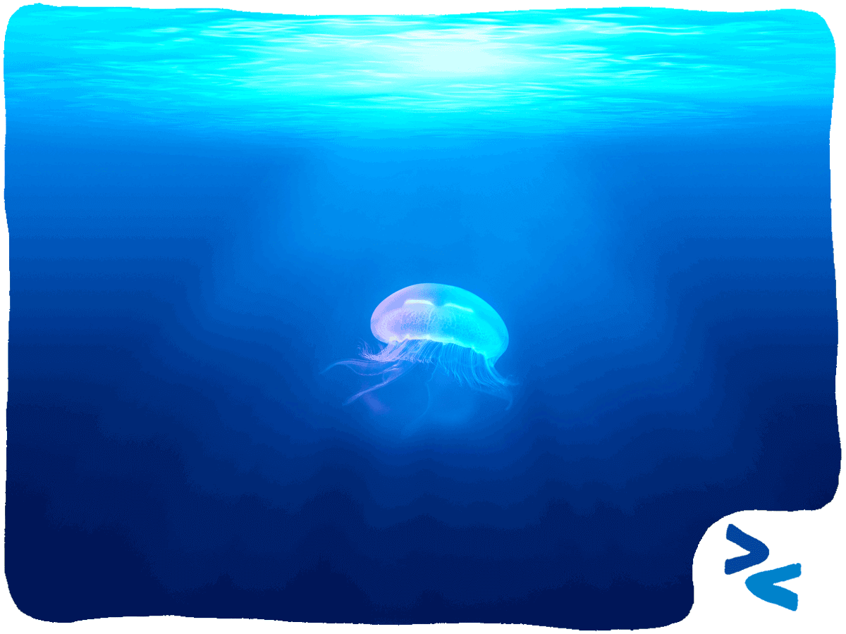 Chi ha paura della trasparenza copertina