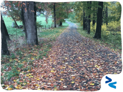 La strada della pratica Collaborativa copertina
