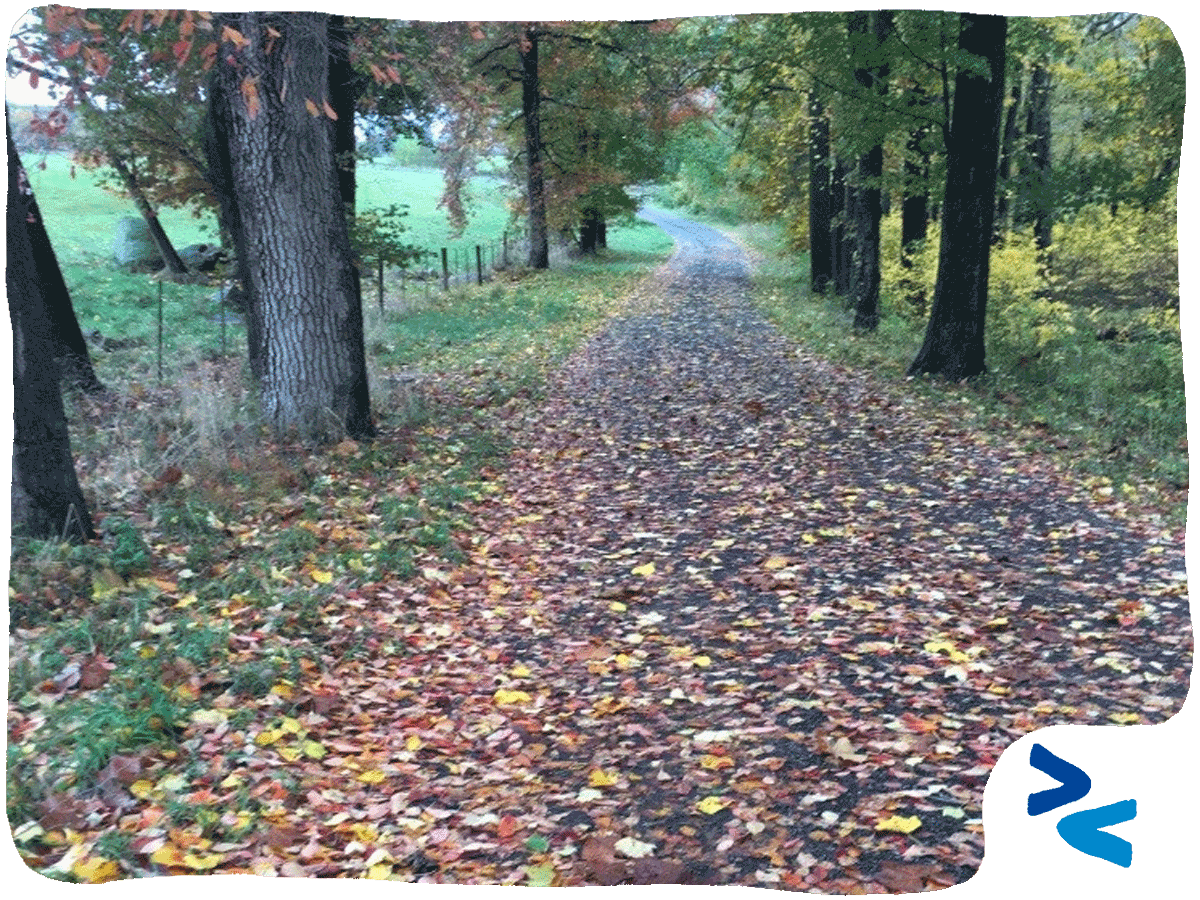 La strada della pratica Collaborativa copertina