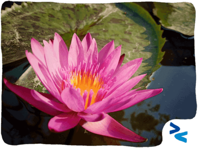 Professionisti come peacemaker - copertina