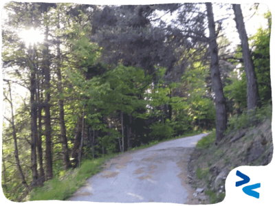 Sfide per la pratica collaborativa copertina