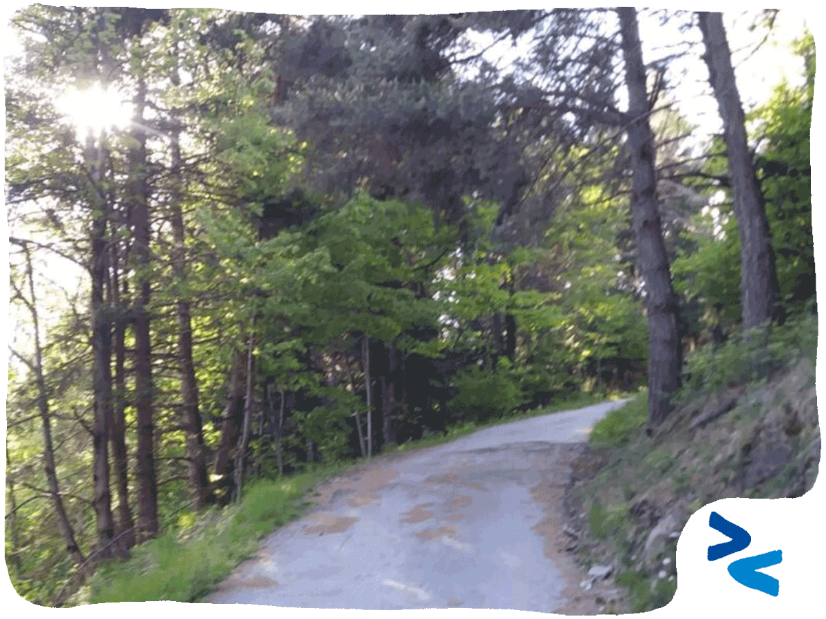 Sfide per la pratica collaborativa copertina