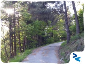 Sfide della Pratica Collaborativa con il Covid